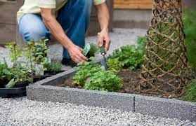 Create an attractive and textured feature bed in a small space. 9 Amazing And Affordable Ideas On Landscape Edging