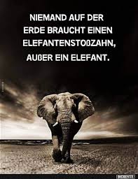 Niemand Auf Der Erde Braucht Einen Elefantenstosszahn Ausser Ein Elefant Spruche Zitate Witzige Spruche Spruche
