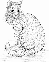 Download this adorable dog printable to delight your child. Realistic Cat Coloring Page For Kids Animal Coloring Pages Printables Free Wuppsy Com Cat Coloring Page Animal Coloring Pages Animal Coloring Books