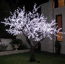 The cherry blossom tree exhibits a moderate growth rate, ranging between 2 and 4 feet a year. Outdoor Led White Cherry Blossom Tree F Co