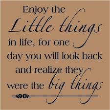 Enjoy The Little Things In Life For One Day Enjoy The Little Things In Your Life For One Day You Will Look Back And Realize They Were The Big Things Soft Words Enjoyment Favorite Quotes