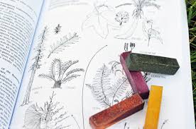 Download Tell Me A Story The Botany Coloring Book Imagine Childhood Magic Memories That Last A Lifetime