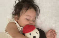 Horror Stuffed Animals: Matt Kirkland's Dissected Toys