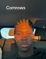 Braids Hairstyle for Men Gemini Ai