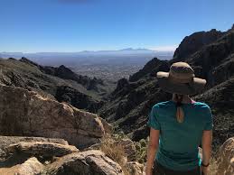 On Top of Tucson's Highest Peak: Hike to Mount Wrightson