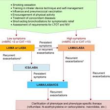 Image result for COPD Management
