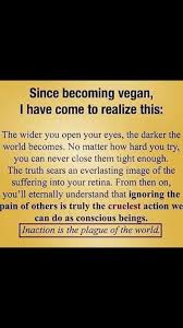 As Painful Traumatizing Gut Wrenching As They May Be I M Glad That These Images Are Forever Seared In My Brain My Hea Vegan Quotes Vegan Facts Vegan Humor
