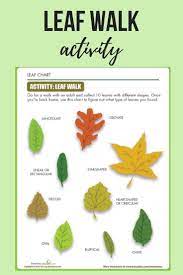 Leaf Shapes Worksheet Education Com Leaf Lessons Earth Science Projects Life Science Activities
