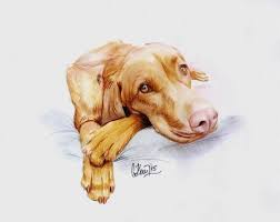 Sanjicka I Will Draw Portrait Of Your Pet For 15 On Fiverr Com Dog Portraits Pet Portraits Pets