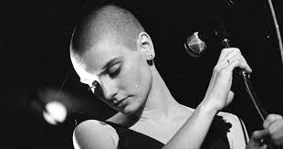 Steve Canavan (@steviecanavan)