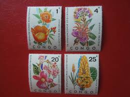 Image result for Dissotis brazzae