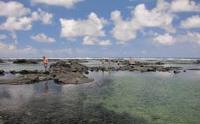 Snorkeling Kapoho Tide Pools Destroyed By Lava In June 2018