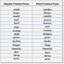 Singular And Plural Nouns Buscar Con Google Idei Dlya Zavtraka Anglijskij Yazyk