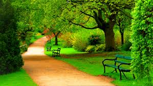 Image result for nature