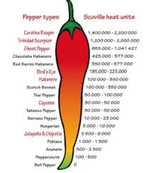 Dried japones chile pepperstaste and aroma: The Secret Of The Sambal Sauce Only At Ejji Ramen Ejji Ramen