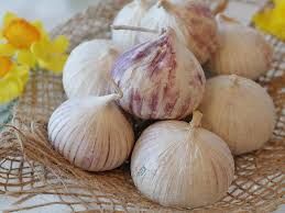 Serangan ini dapat menyebabkan perubahan morfologi akar. 7 Cara Menanam Bawang Putih Tunggal Bisa Di Pot Atau Pekarangan Hot Liputan6 Com