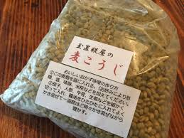 麦麹で金山寺味噌作ってみた