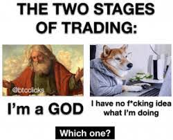Is it just a dip? Predicted Market Crash Foretold Market Explosion And 20 Crypto Jokes