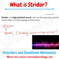 Image result for Stridor