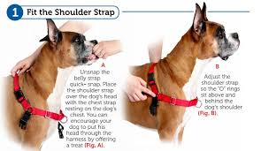 This will be the foundation of the fit and provides a secure base. Gentle Leader Easy Walk Dog Harness Online