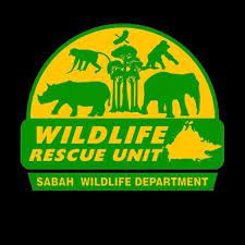 Sabah s incredible wildlife orangutans and sunbears in sepilok borneo travel malaysia. Wildlife Rescue Unit Home Facebook