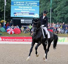 Even after a hazardous fire in 1996, when he lost more than 40% of his skin, he recovered and fought back in sports. Sezuan Dorothee Schneider Career Ends Dressage News