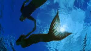 H2o just add water movie. H2o Just Add Water Tv Series 2006 2010 Imdb