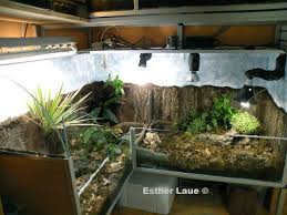 Paludarium Buscar Con Google Aquarium