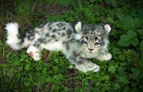 Handmade Poseable Toy Snow Leopard Cub By Malinatoys Fur Affinity Dot Net Read more than 50 facts about this. handmade poseable toy snow leopard cub