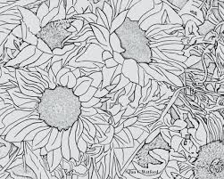 Pin On Watercolor The first two are collections of.