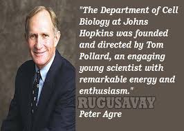 Quotes by Peter Agre @ Like Success via Relatably.com