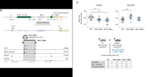 Access cancer research tools