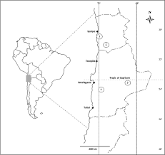 Choose from a wide range of properties which booking.com offers. Lithobiontic Life Atacama Rocks Are Well And Alive Springerlink