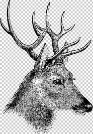 Vintage Reindeer Head Clipart Library Of Vintage Reindeer Head Png Transparent Library Png Files Essy Baebaebox Com If you love this results about background, remember clipartmax and share us to your friends. vintage reindeer head clipart library