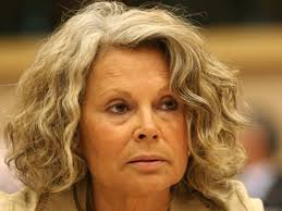Edite estrela do ps eleita relatora sobre alterações climáticas no conselho da europa. Edite Estrela Premiada Em Bruxelas