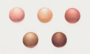 35 Prototypal Prismacolor Chart Skin Tones