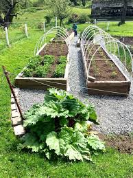 The best thing about this project is that you don't have to lean to take care of the plans or to harvest the vegetables. Building Raised Garden Beds Homemade Food Junkie