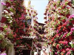 Great service, great price and great selection of flowers. Welcome To The Beautiful City Of Flowers City Flowers Flowers Amazing Flowers
