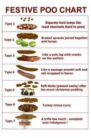 christmas bristol stool chart poo chart stool chart