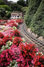 Canberra Australia Www Websitemarketingstrategies Org Beautiful Places Beautiful Gardens Wonders Of The World