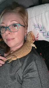 Why do they enjoy laying in such wierd positions? How is that even comfy 🤣  She smooshed herself right in.