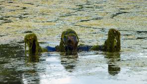 I am facing an issue while writing the records to a target file. Don T Lead Your Data Scientists Into A Swamp