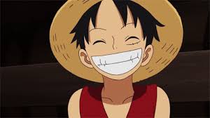 These should only be used as examples for things that can not be explained in only one image. Diversity Oc S Book One Piece Gif One Piece Anime Anime