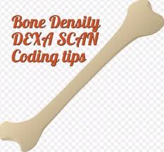 Great sites have 2019 pet scan cpt codes are listed here. Dexa Scan Cpt Code 77080 77081 Bone Density Coding