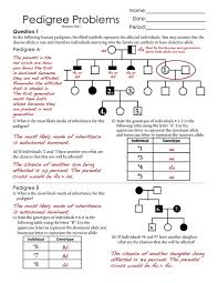 Human Pedigree Worksheet Worksheet Fun And Printable