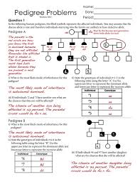 human pedigree worksheet worksheet fun and printable