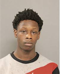 ᐅ Illinois Criminal Records 2009-2025