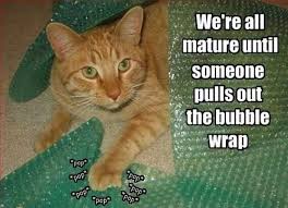 pin on animals