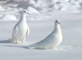 Pemilihan warna cat rumah akan sangat memengaruhi hasil akhir tampilan hunianmu. Di Mana Warna Penting Psikologi Warna Mengapa Kita Suka Warna Tertentu