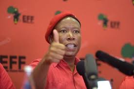 Tuko.co.ke news ☛ julius malema asked jacob zuma to urgently meet for tea and mzansi users could not deal. Malema Sues Boy Mamabolo For R1m Over Allegations He Abuses His Wife Graaff Reinet Advertiser